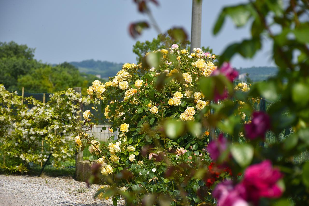 Agriturismo Panorama Salionze Buitenkant foto